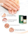 Infographic Nails oil